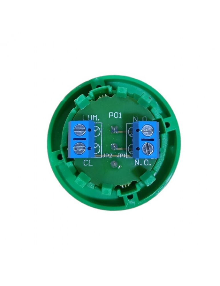 PULS. EDEL REGLETA LUM. AZUL 0 CON ARO VERDE
