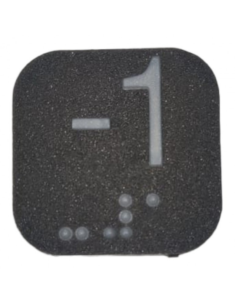 10077285 CARATULA PULSADOR THYSSEN PM-6 ( -1 ) BRAILLE