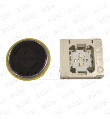 BWSGF84MR.MK DPF LAMP DMG BW - BLS RED DOUBLE ARROW