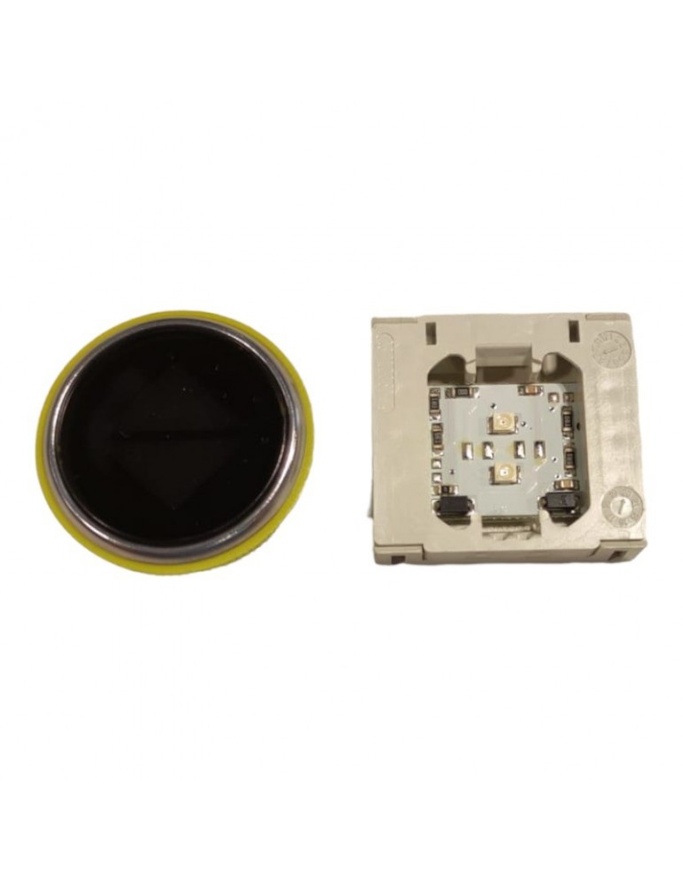 BWSGF84MR.MK DPF VOYANT DMG BW - BLS ROUGE  FLÊCHE DOUBLE