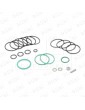 102209 JUEGO JUNTAS PISTON BLAIN COMPLETO OL 0.75"