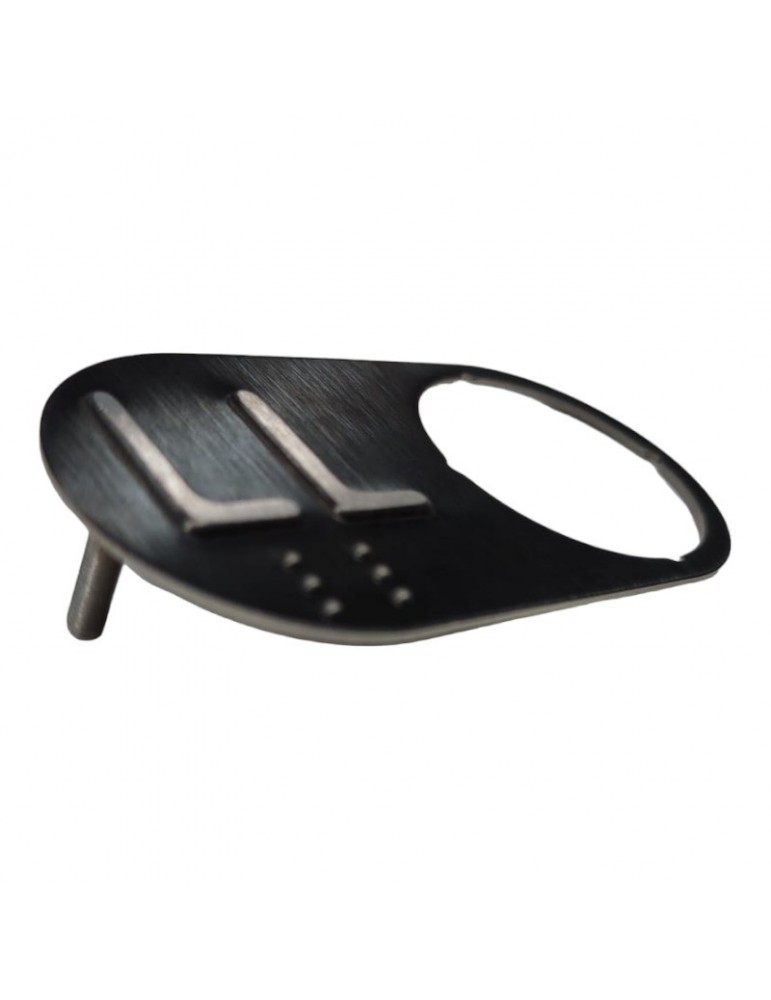 CBBN30B00_LL  PLAQUE DMG BRUTUS BLACK LL