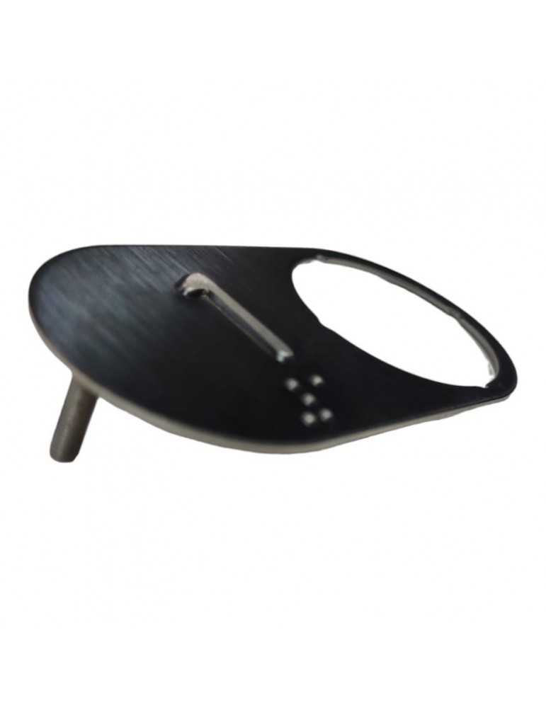 CBBN30B00_1  PLAQUE DMG BRUTUS BLACK 1