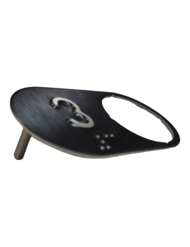 CBBN30B00_3  PLAQUE DMG BRUTUS BLACK 3