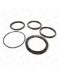 R83155010 RECHANGE JOINTS PISTON 100 MM