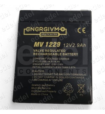 BATERIA 2.9 AH 12V