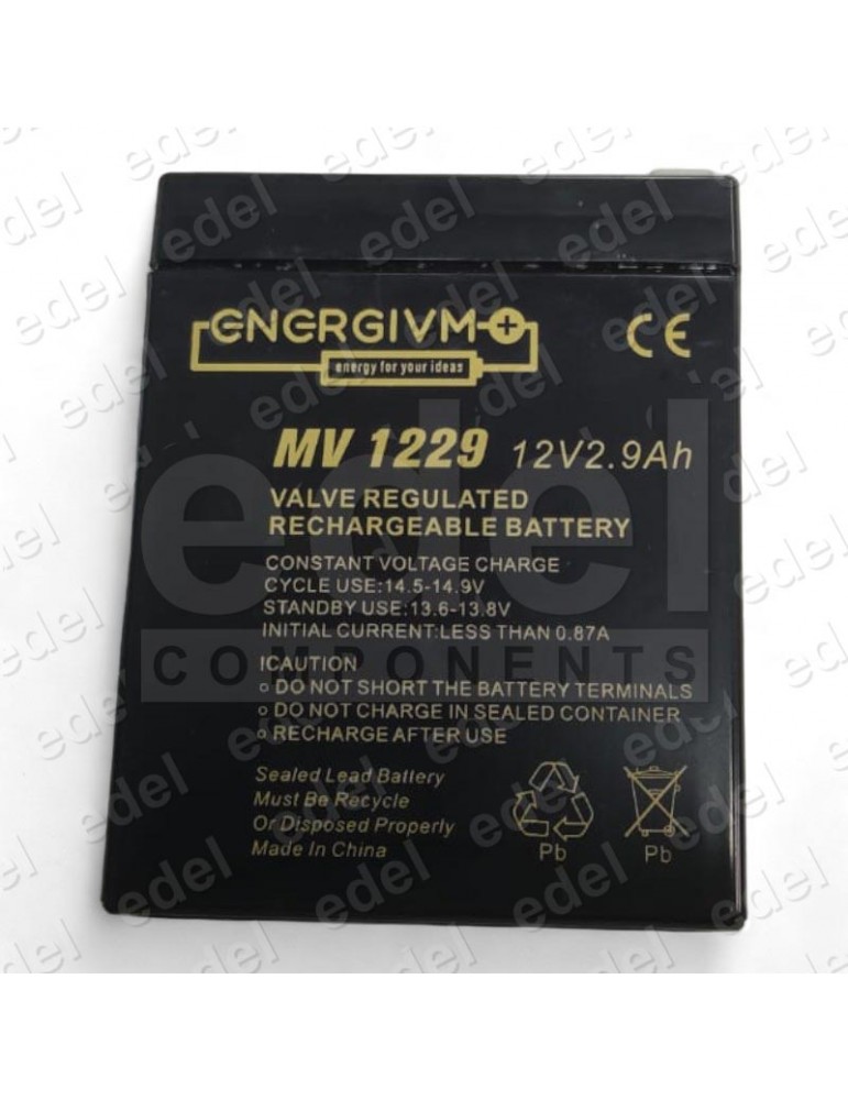 BATERIA 2.9 AH 12V