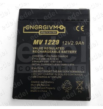 BATTERIE 2.9 AH 12V