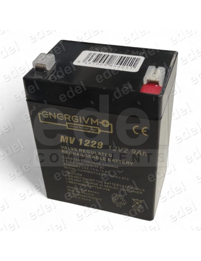 BATTERIE 2.9 AH 12V