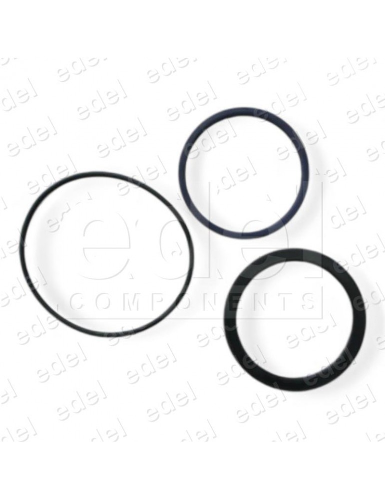 KIT JUNTAS PISTÓN 100MM OMARLIFT PARA C97