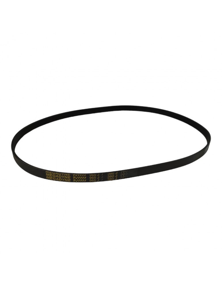 C3201059152 BELT DOOR WITTUR-SELCOM MOTOR 965MM
