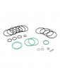 102209 JUEGO JUNTAS PISTON BLAIN COMPLETO OL 0.75"