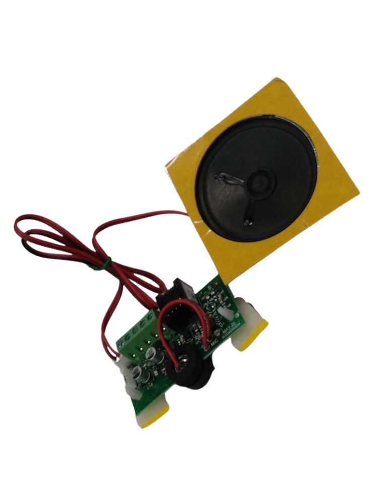 MODULE AUDIO DEL MK-793