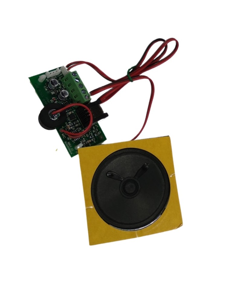 MODULE AUDIO DEL MK-793