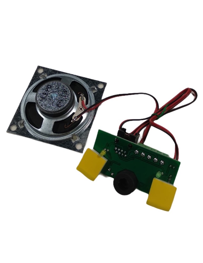 MODULE AUDIO DEL MK-793