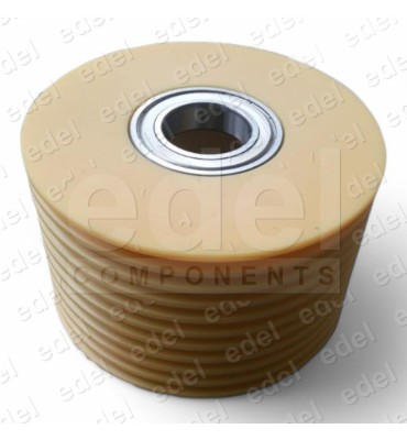 POLEA DESVIO MP 200MM 10X6.5 2ROD. POLIAMIDA