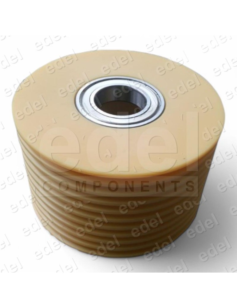 712110C11866 POLEA DESVIO MP 200MM 10X6.5 2ROD. POLIAMIDA 207X50X125