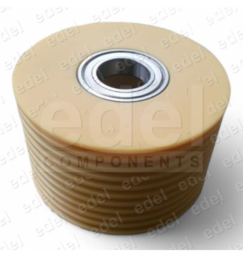 712110C11866 POLEA DESVIO MP 200MM 10X6.5 2ROD. POLIAMIDA 207X50X125