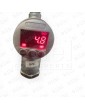 PRESOSTATO DIGITAL HYDAC EDS 3446-2-0100-000 BLAIN