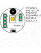 LLAVIN ELECTRONICO VEGA HOMBRE PRESENTE AMA 1224V