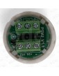 PULSADOR MOVILIFT ROMA PSVJ 12/24V BRAILLE AZUL (2)