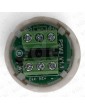 PULSADOR MOVILIFT ROMA PSVJ 12/24V BRAILL AZUL (3)