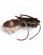 CMT-DC0099 MOTOR FERMATOR DC CON ENCODER ASÍNCRONO 24VDC 24 RPM 10Nm CABLE 300MM ( ECC+ )