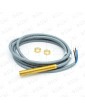FSS2S42MT DETECTEUR MAGNETIQUE COMMUÉ CARLO GAVAZZI LATON