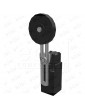 AP5T5200W20 LIMIT SWITCH WITH LEVER 50MM WITH 2NO