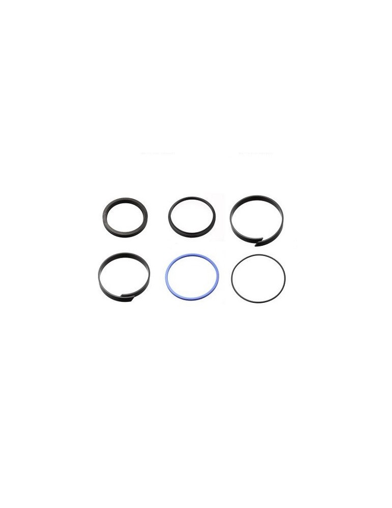 R83170010 RECHANGE JOINTS PISTON GMV 110 MM
