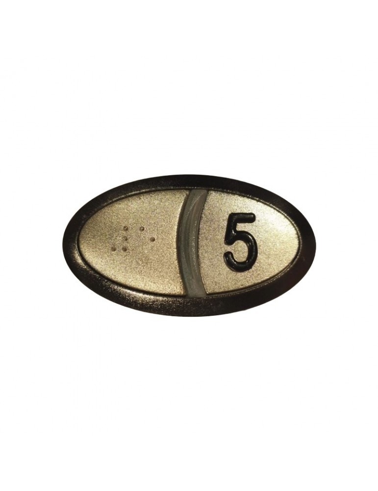 CONJ.PULSADOR BRAILLE ORONA ARCA II (5)