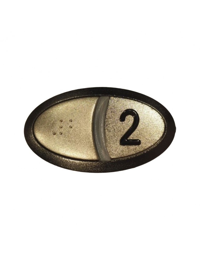 CONJ.PULSADOR BRAILLE ORONA ARCA II (2)