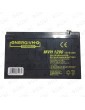 BATERIA PB 12V 9AH ENERGIVM 151x65x95 MM + ECOT.