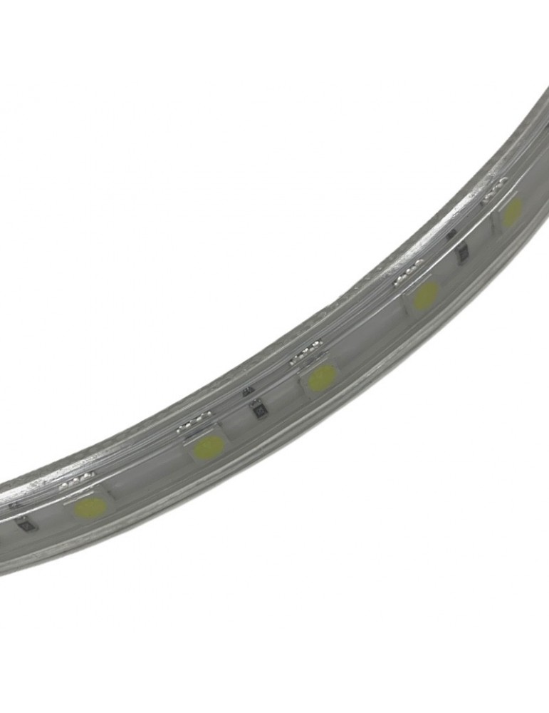 TIRA LED 5050 12W/M (1 MT.)