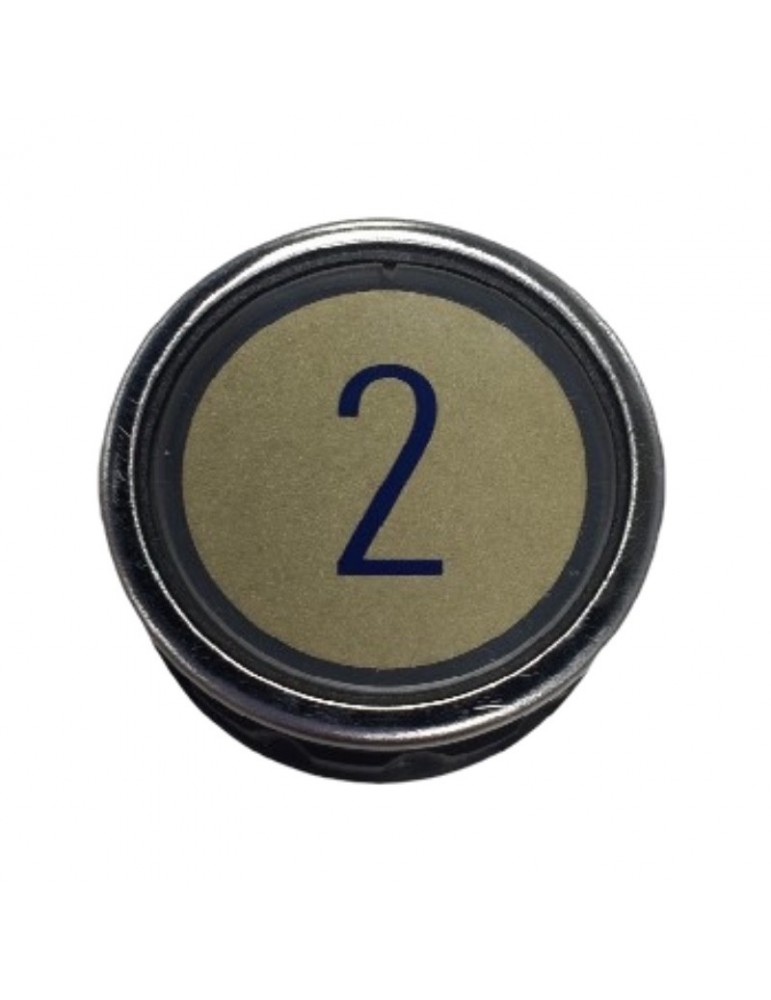 PULSADOR SCHINDLER D2 3 PINES LUMINOSO VERDE (2)