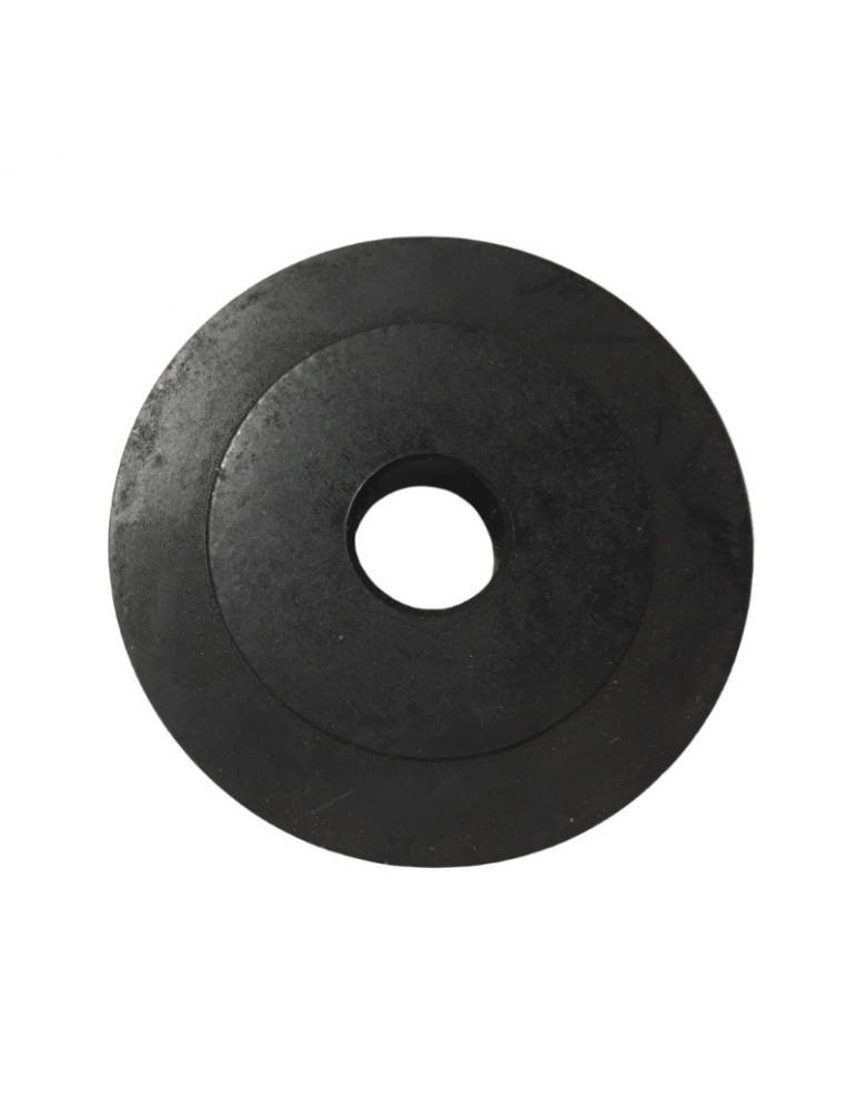 2L1C056059 GALET TÊTE SABRE PORTE WITTUR-SELCOM HIDRABELT