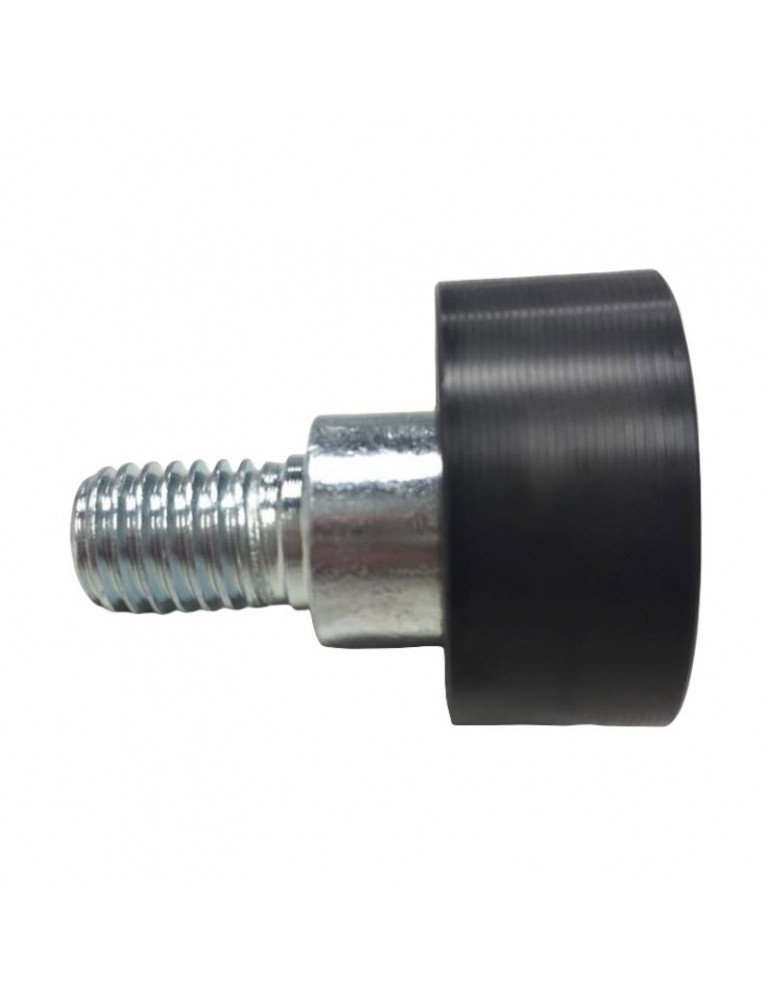 6132201 ROLLER ECCENTRIC OPERATOR DOOR ORONA PM-300