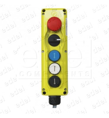 BOTONERA DE FOSO SCHINDLER TSD21      