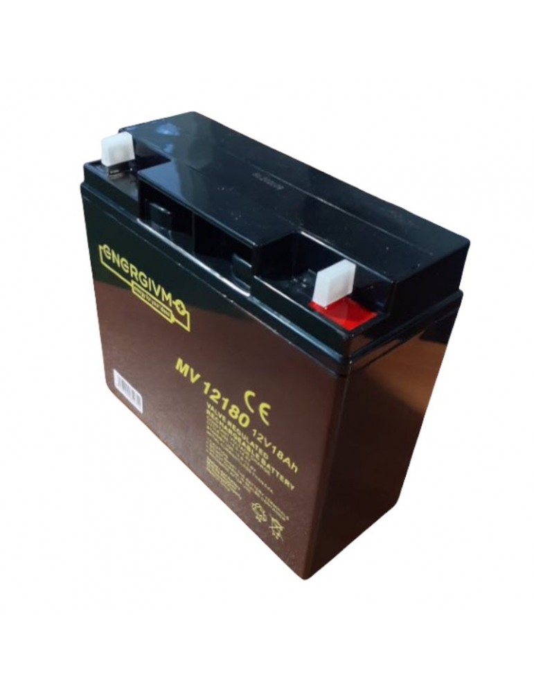 BATERIA 12V 18Ah + ECOTASA