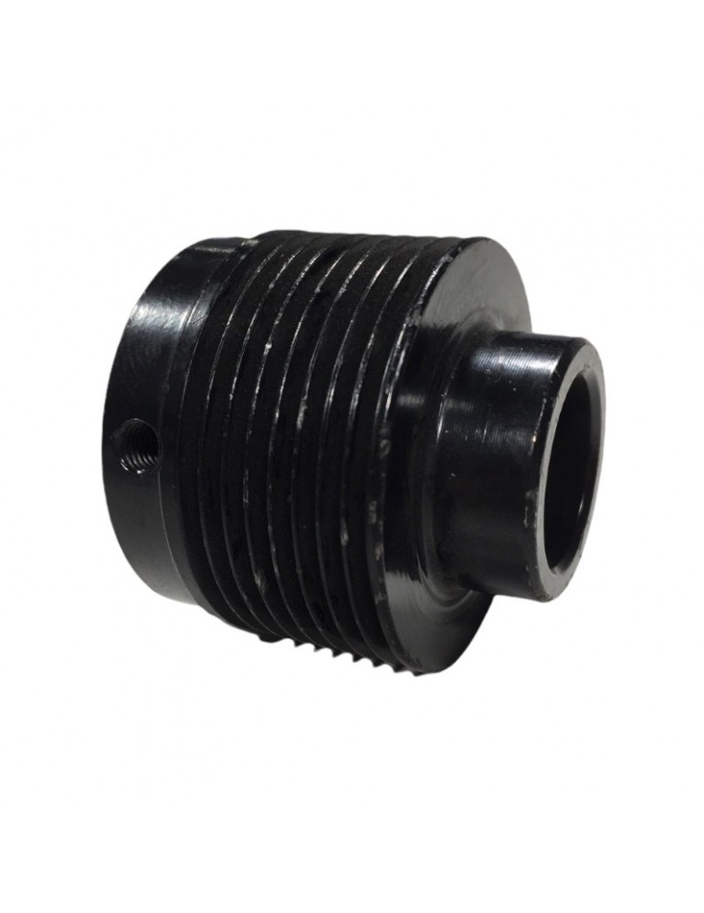 2C1A156061-42 PIGNON MOTEUR PORTE WITTUR-SELCOM C.A.42MM