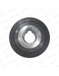 2C1A040123 POLEA MOTOR PUERTA WITTUR-SELCOM HYDRABELT