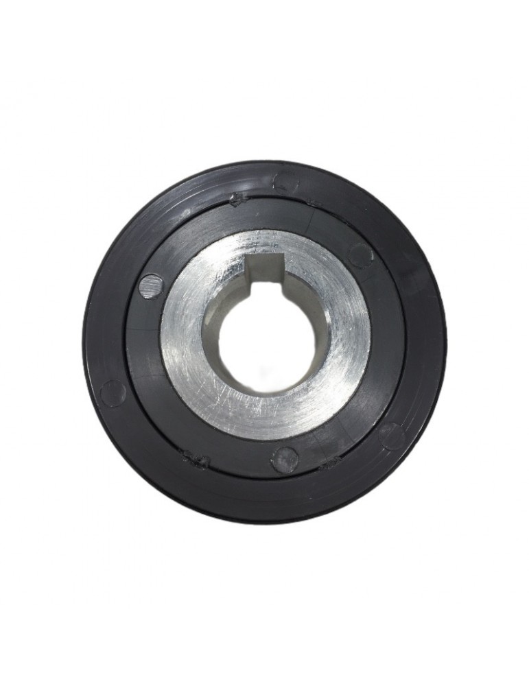 2C1A040123 POLEA MOTOR PUERTA WITTUR-SELCOM HYDRABELT
