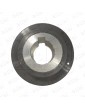 2C1A040123 POLEA MOTOR PUERTA WITTUR-SELCOM HYDRABELT