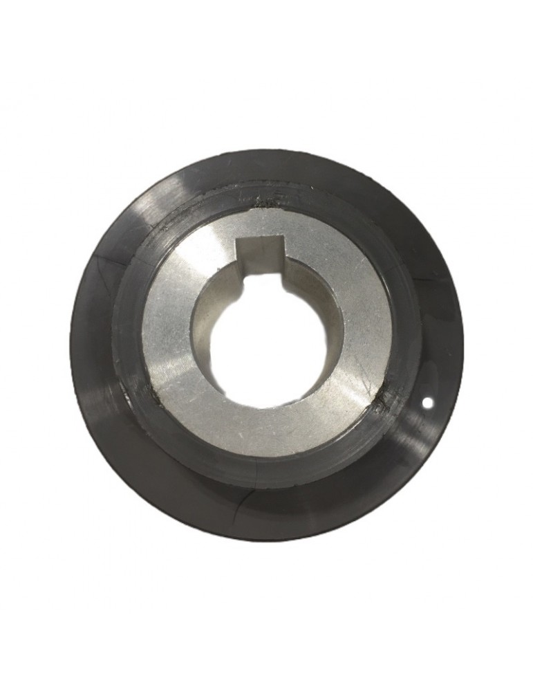2C1A040123 POLEA MOTOR PUERTA WITTUR-SELCOM HYDRABELT