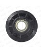 2C1A040122 POLEA TENSORA PUERTA WITTUR-SELCOM HYDRABELT