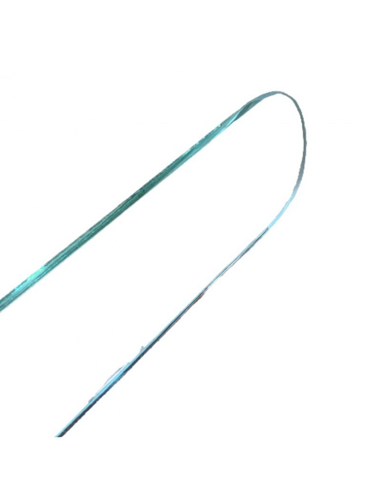 CRISTAL MIRILLA 6MM PUERTA BUS FERMATOR