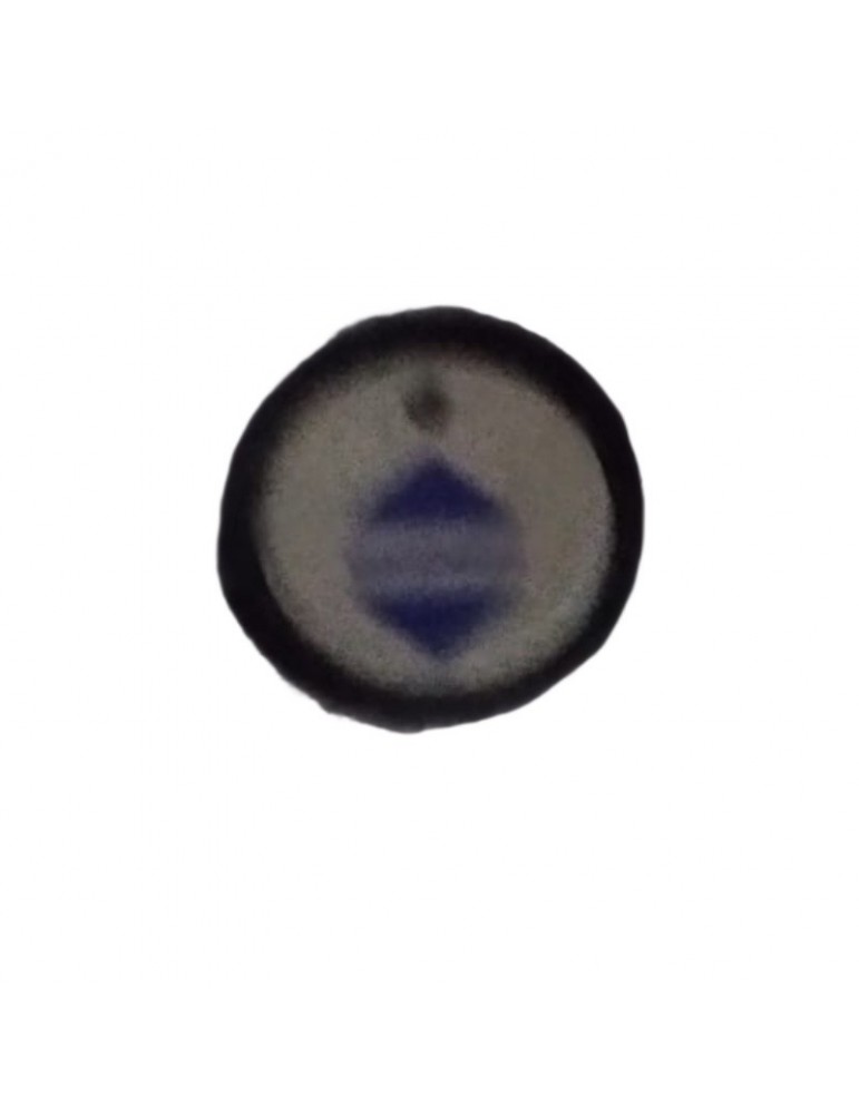 148838 CARATULA PULSADOR SCHINDLER D1 (DOBLE FLECHA)