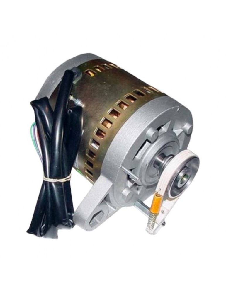 ESP_2101145D MOTOR PUERTA SCHINDLER QK BT40-12 220/380V 0.39/0.22A 50HZ + FRENO