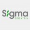 Sigma Elektrik                     